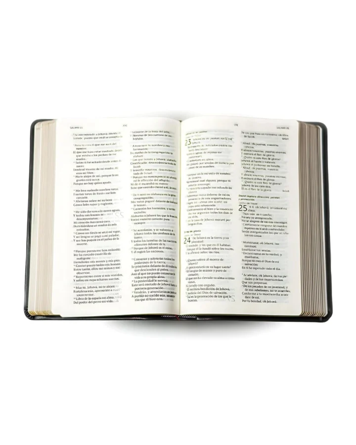 Biblia de Referencias, Reina Valera 1960, Símil Piel, Manual - Imagen 2
