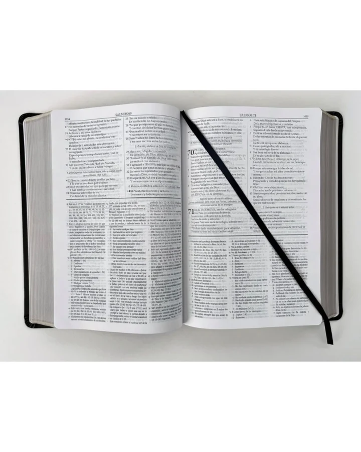 Biblia de estudio Dake, Reina Valera 1960, Piel, Grande - Imagen 3