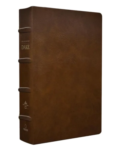 Biblia de estudio Dake, Reina Valera 1960, Piel, Grande