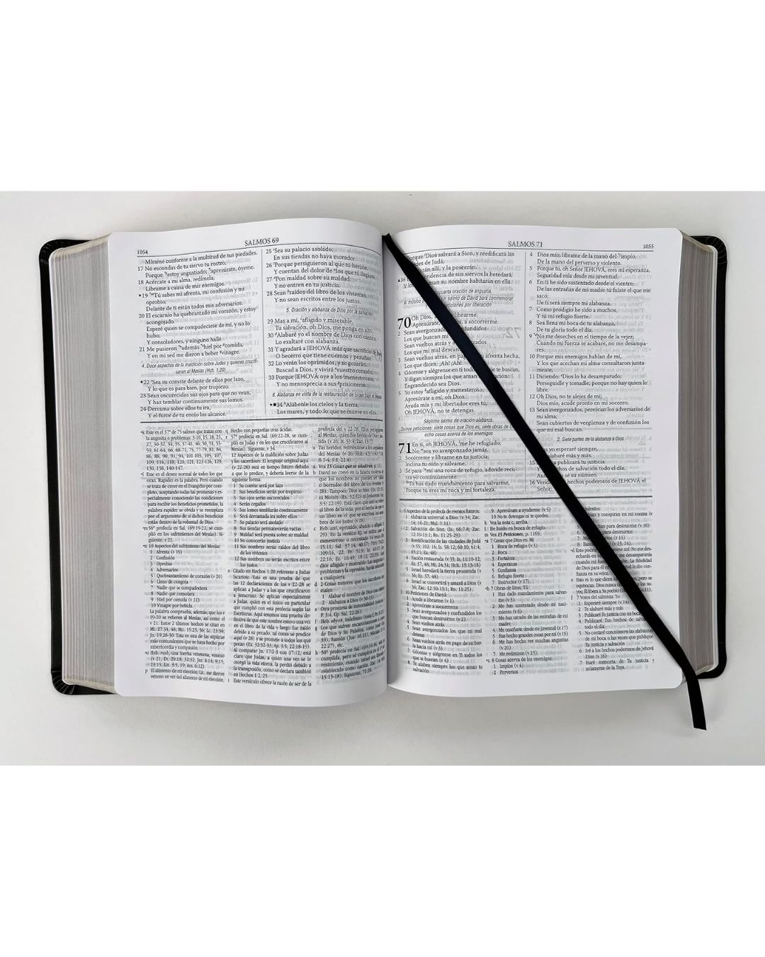 Biblia de estudio Dake, Reina Valera 1960, Piel, Grande - Imagen 6