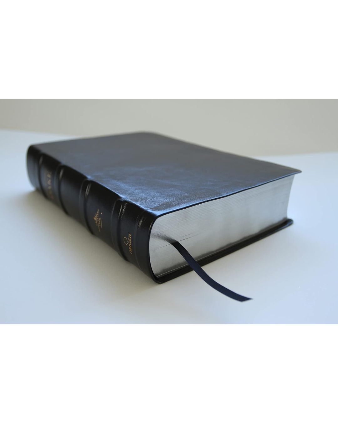 Biblia de estudio Dake, Reina Valera 1960, Piel, Grande - Imagen 4