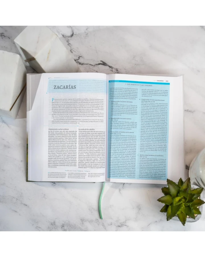 Biblia de estudio de César Vidal, Reina Valera 1960, Tapa Dura - Imagen 3