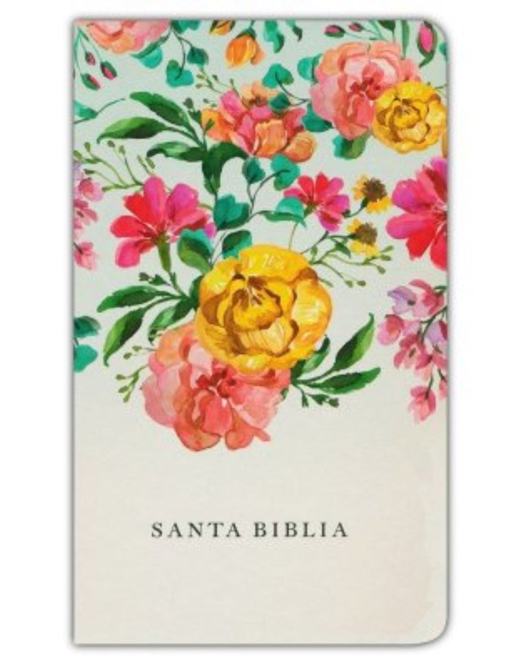 Biblia los Nombres de Dios, Reina Valera 1960, Tapa Dura, Manual