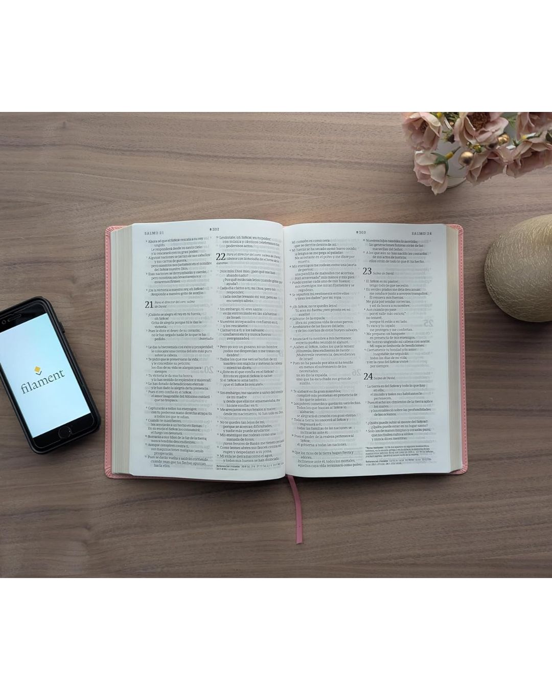Biblia NTV, Letra Grande, Símil Piel, Manual, Rosada - Imagen 4