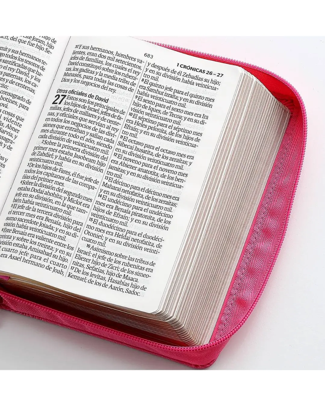 Biblia Pequeña Reina Valera 1960 | Letra Grande Fucsia - Imagen 4