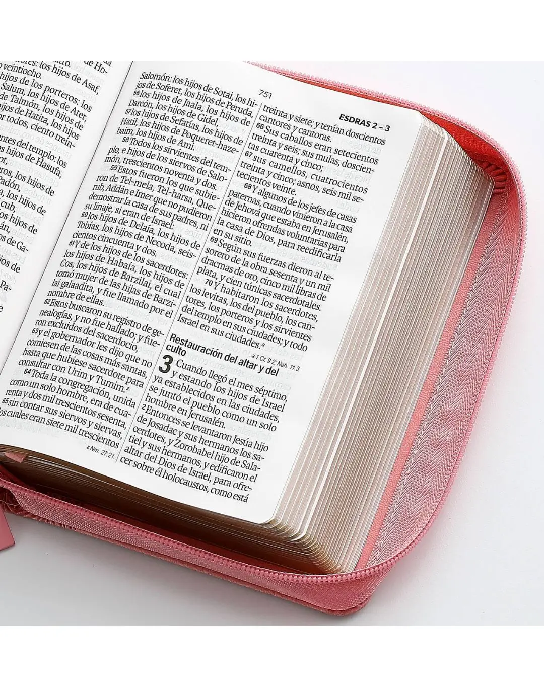 Biblia Pequeña Reina Valera 1960 | Letra Grande Rosada - Imagen 5