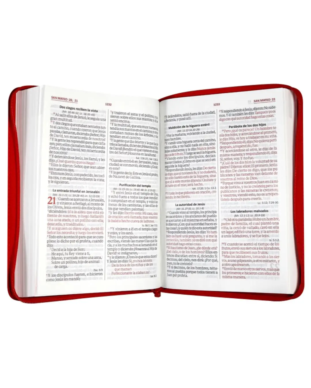 Biblia Perdón y Restauración Reina Valera 1960, Letra Gigante, Símil Piel, Grande, Cereza Vinotinto con Cierre - Imagen 2