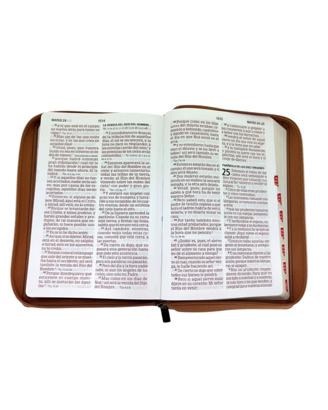 Biblia Reina Valera 1960 - Letra Gigante Café - Imagen 4