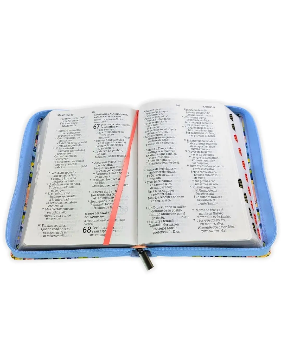 Biblia Reina Valera 1960 - Letra Gigante Celeste flores - Imagen 2