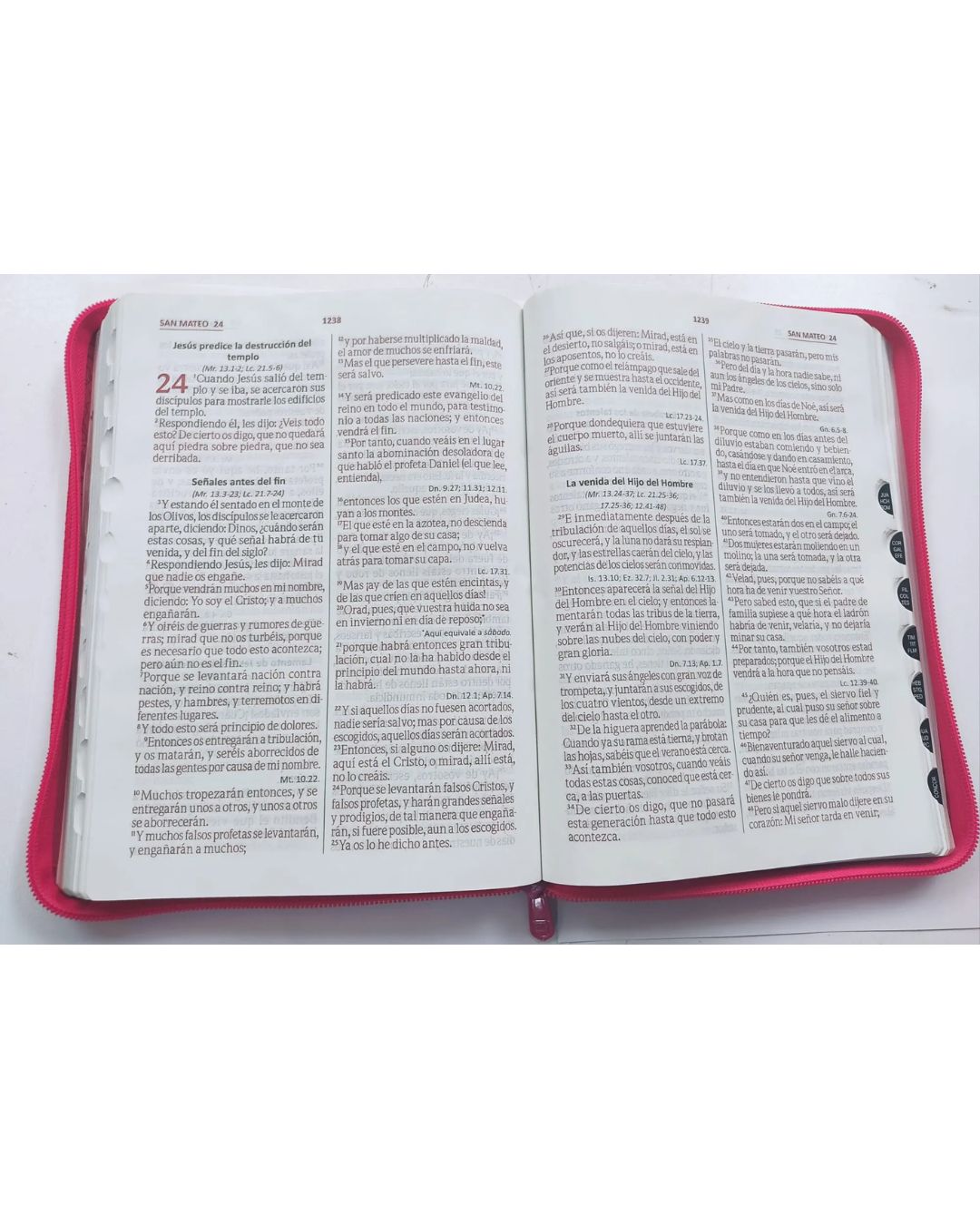 Biblia Reina Valera 1960, Letra Grande, Imitación Piel, Grande, Fucsia con Cierre e Índice - Imagen 3