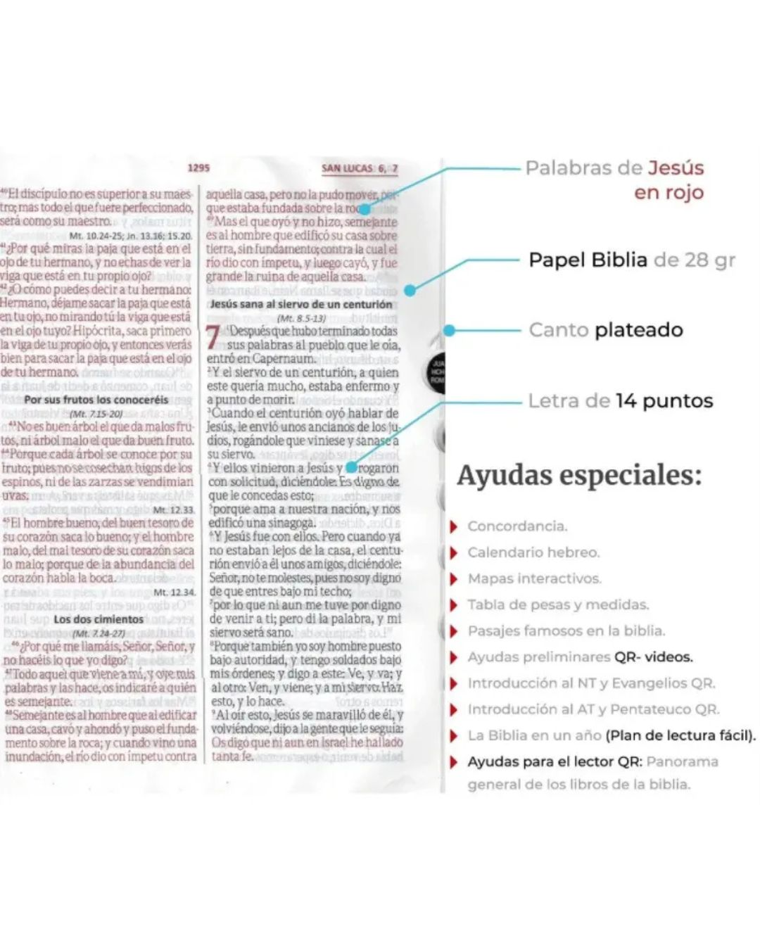 Biblia Reina Valera 1960, Letra Grande, Imitación Piel, Grande, Fucsia con Cierre e Índice - Imagen 4
