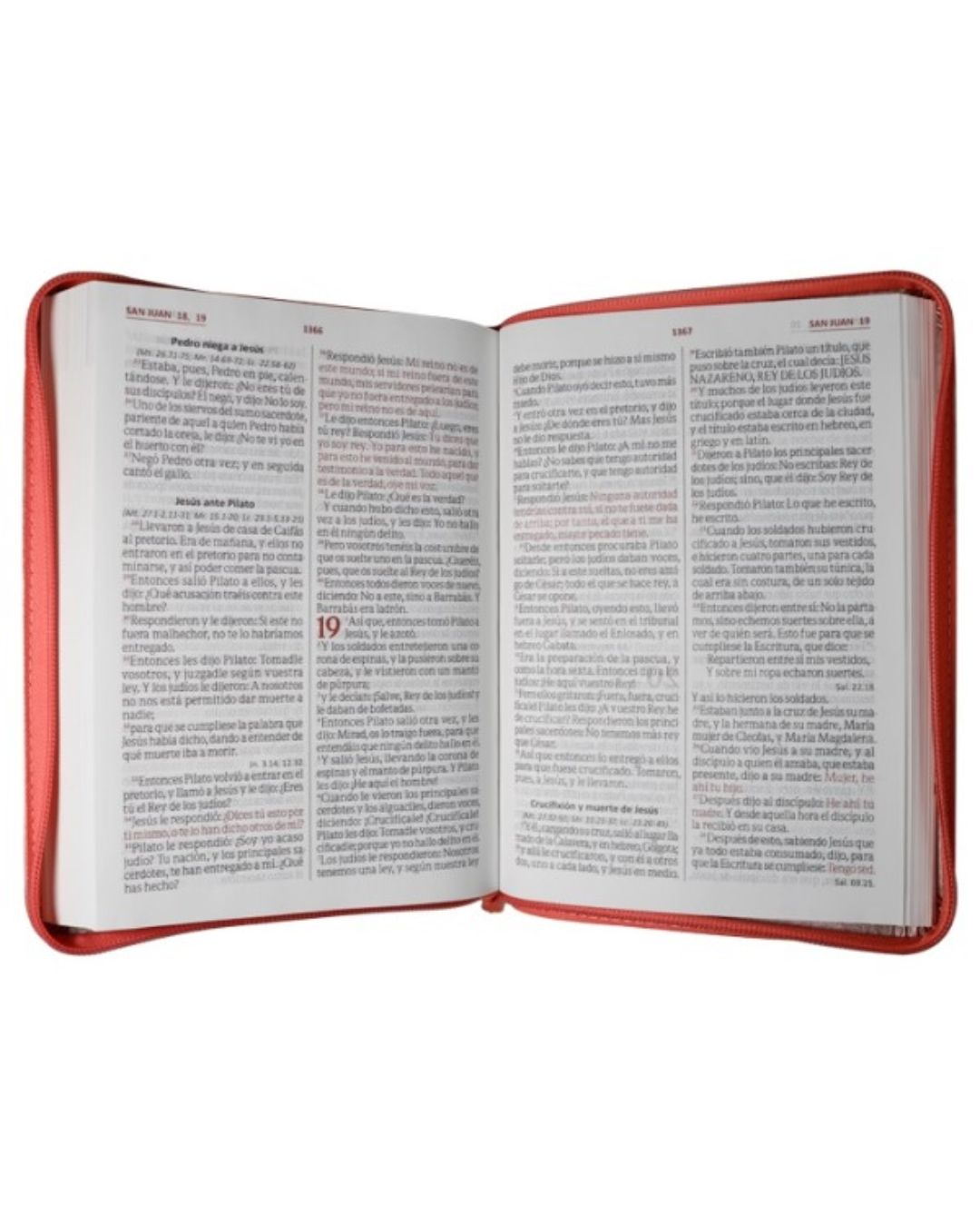 Biblia Reina Valera 1960, Letra Gigante, Imitación Piel, Grande, Naranja Chanpagne con Cierre - Imagen 3