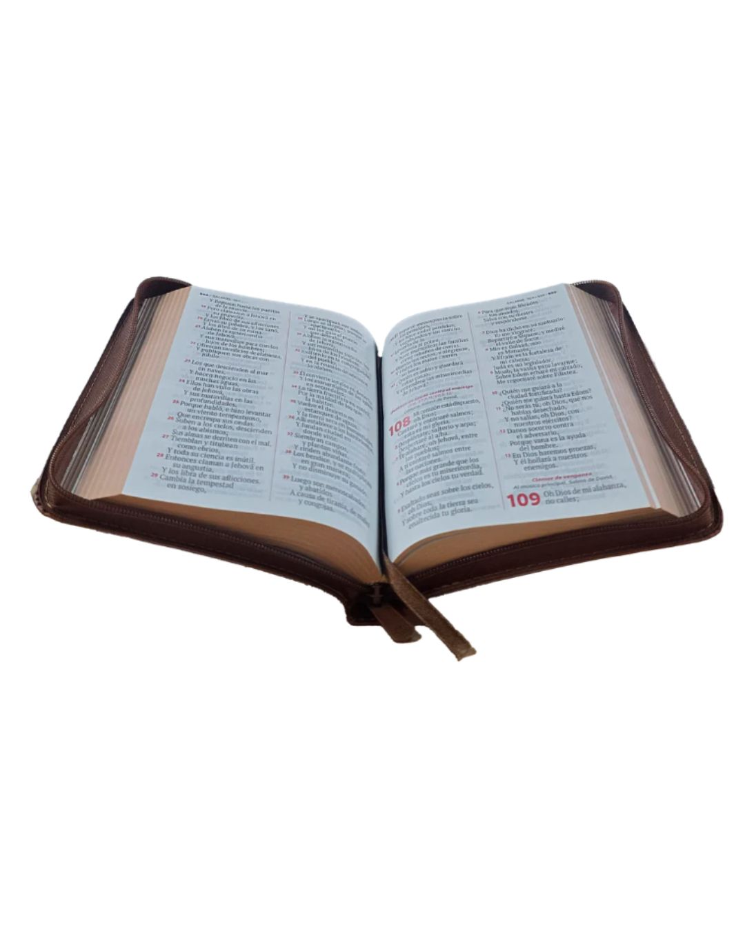 Biblia Reina Valera 1960, Letra Grande, Imitación Piel, Pequeña, Café con Cierre - Imagen 3