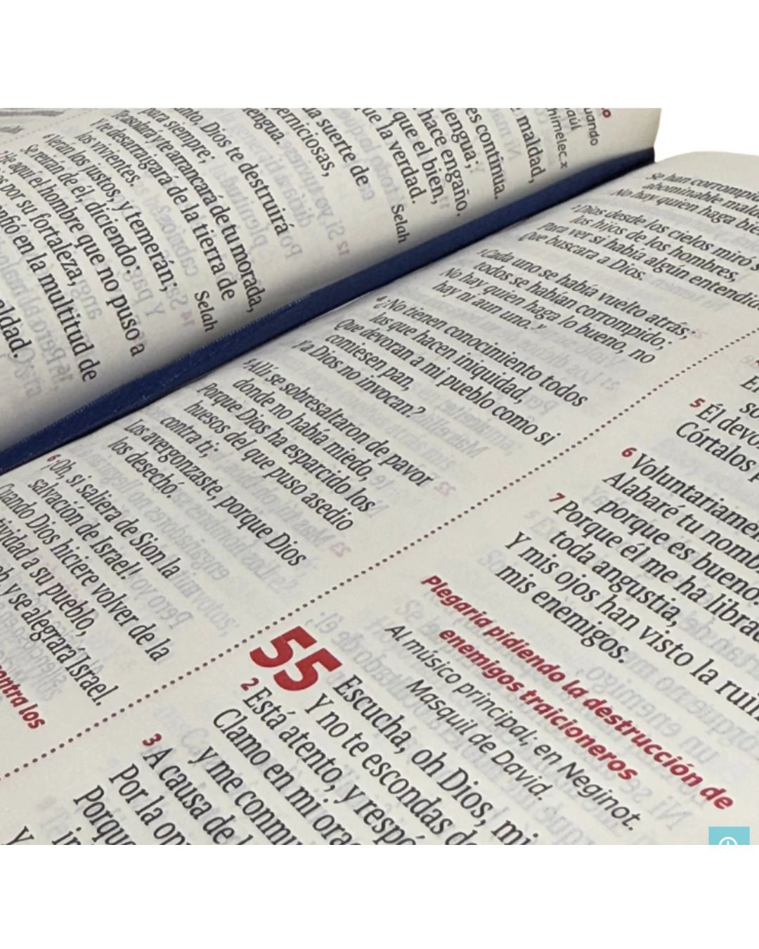 Biblia Reina Valera 1960, Letra Grande, Símil Piel, Manual, Azul con Cierre - Imagen 3