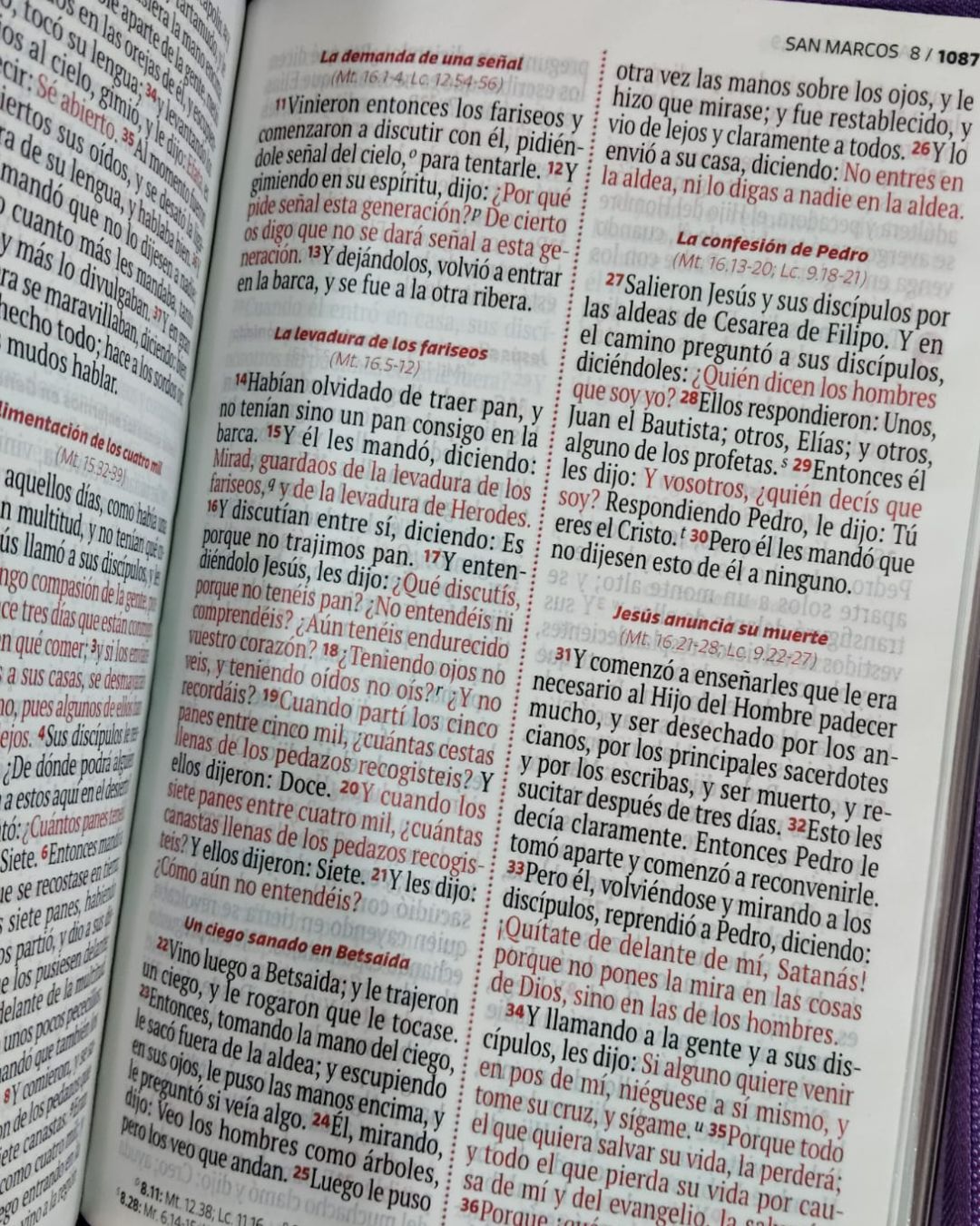 Biblia Reina Valera 1960, Letra Grande, Símil Piel, Manual, Negro con Cierre - Imagen 2