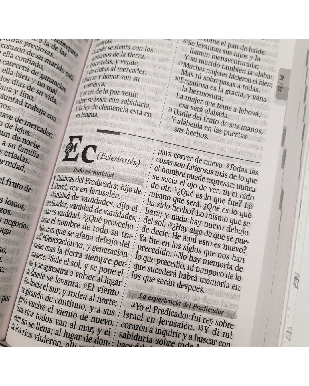 Biblia Reina Valera 1960, Letra Grande, Tapa Blanda, Manual, Azul - Imagen 3