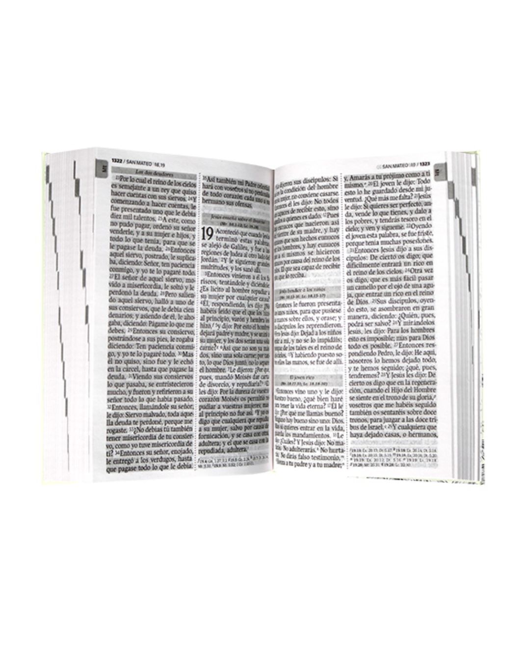 Biblia Reina Valera 1960, Letra Grande, Tapa Blanda, Manual, Blanco - Imagen 2