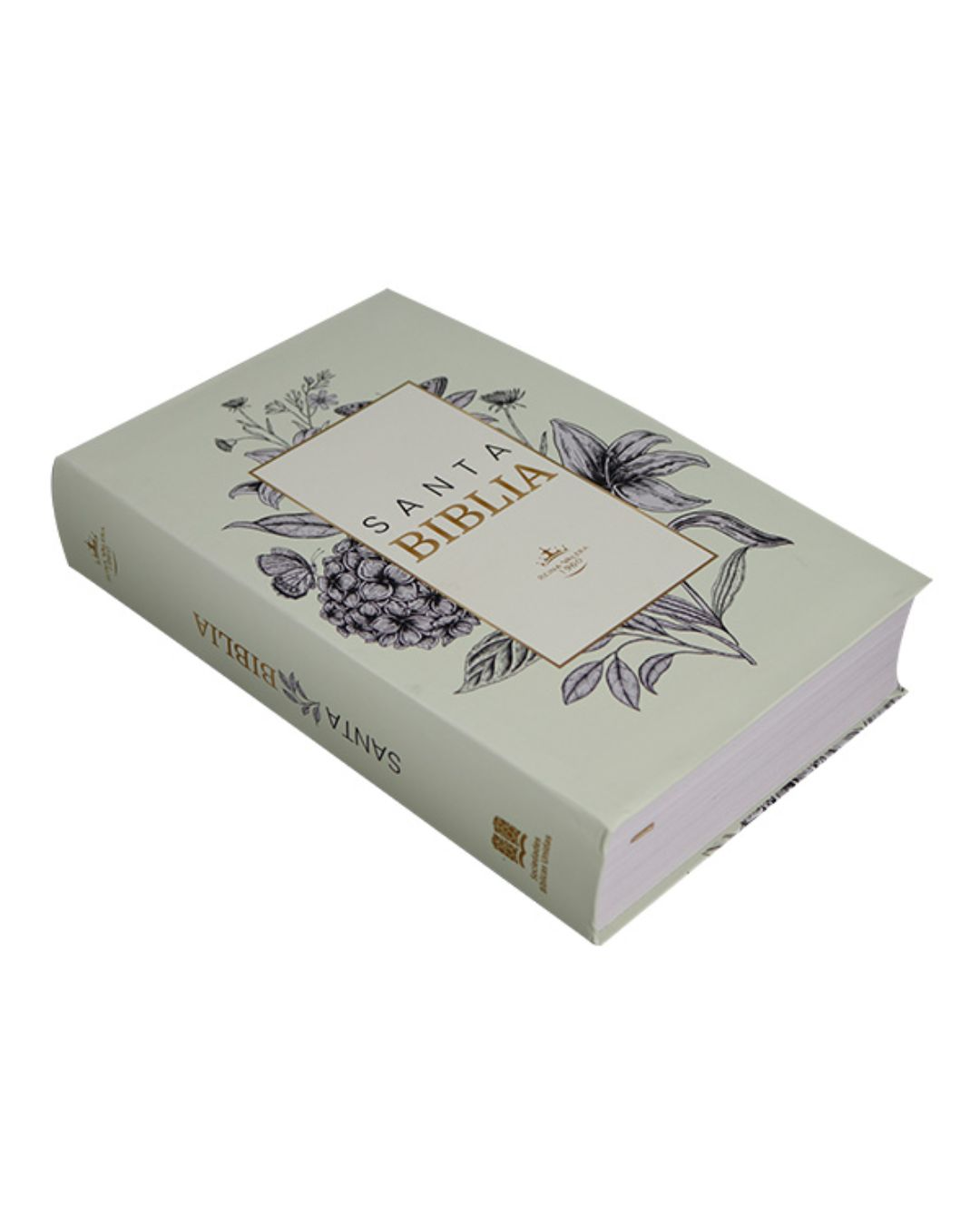 Biblia Reina Valera 1960, Letra Grande, Tapa Blanda, Manual, Blanco - Imagen 3