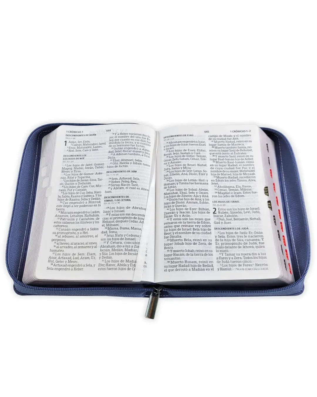 Biblia Reina Valera 1960 Pequeña - Letra Grande Azul - Imagen 2