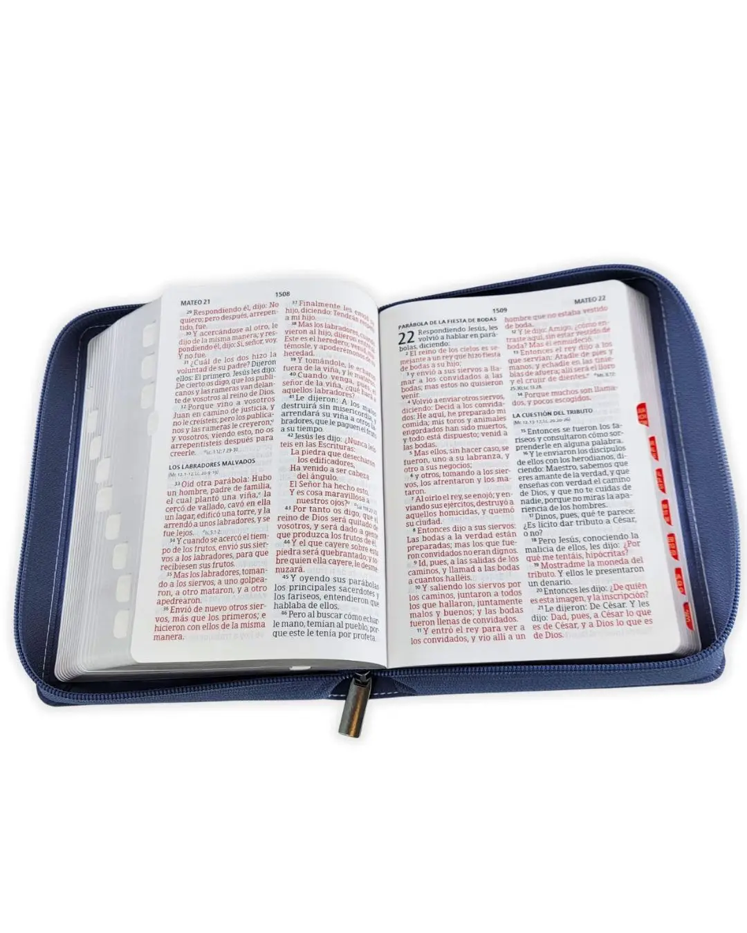 Biblia Reina Valera 1960 Pequeña - Letra Grande Azul - Imagen 3