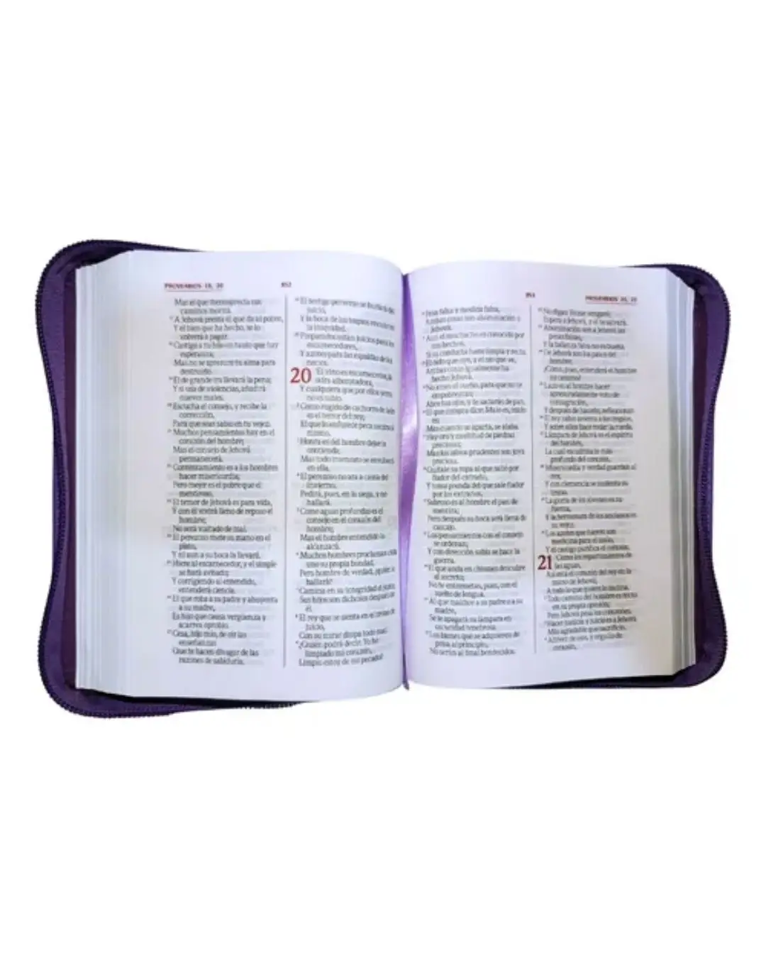 Biblia Reina Valera 1960, Símil Piel, Pequeña, Uva con Cierre - Imagen 3