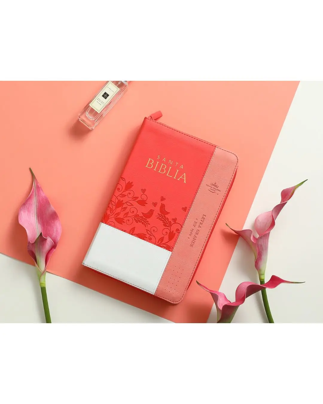 Biblia Reina Valera 1960 | Letra Grande Salmón Rosa - Imagen 2