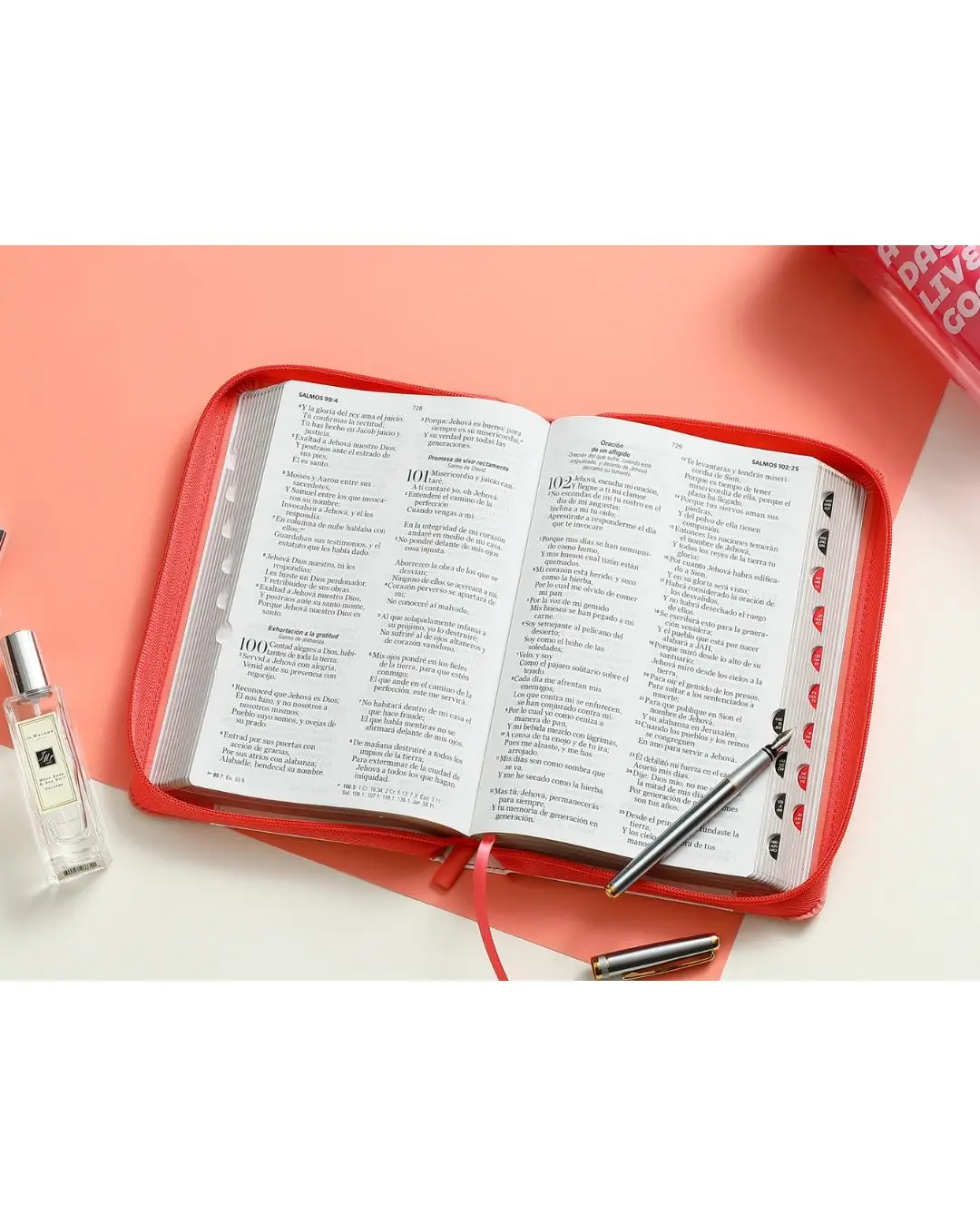 Biblia Reina Valera 1960 | Letra Grande Salmón Rosa - Imagen 3