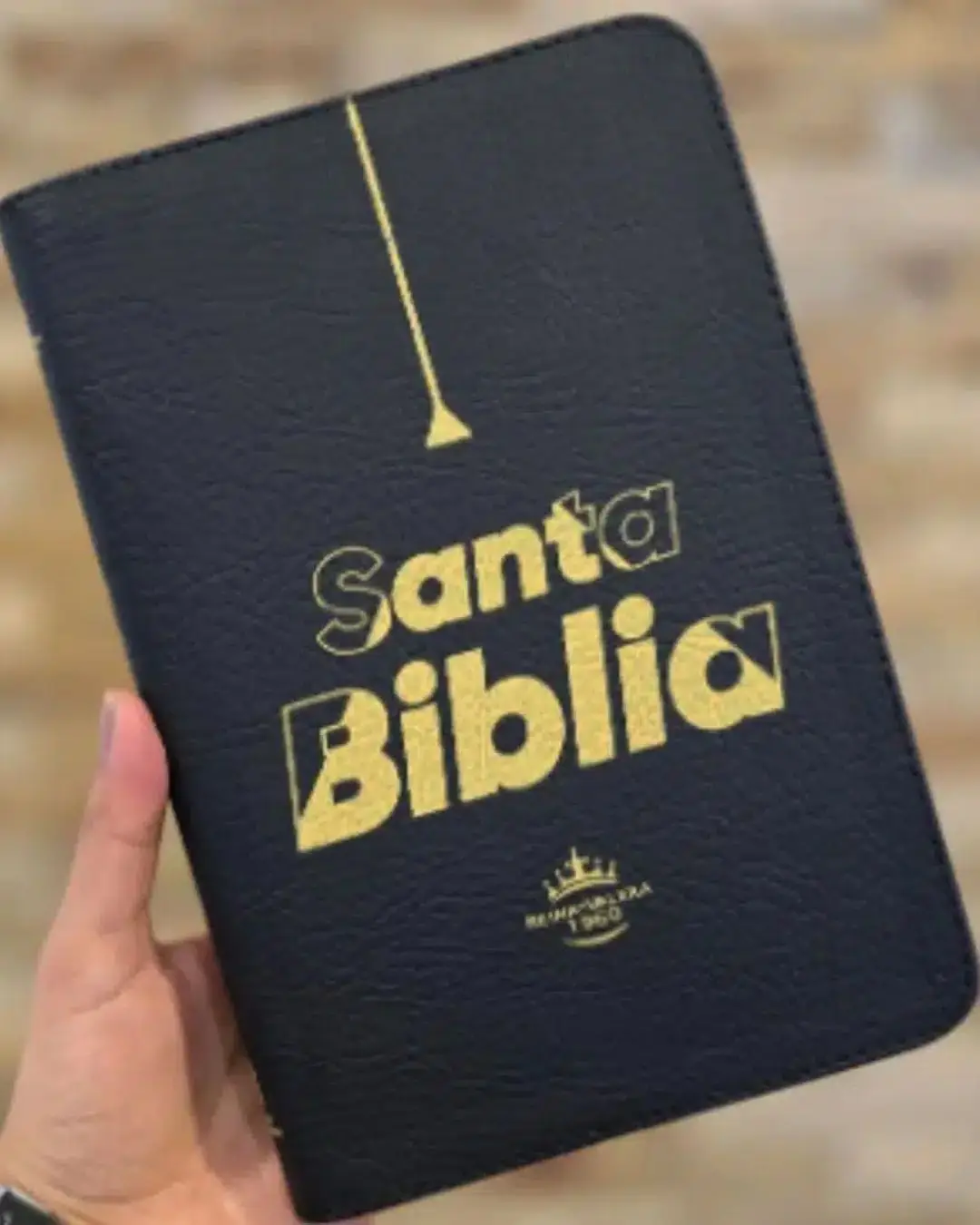 Biblia Reina Valera 1960 | Negra - Imagen 3