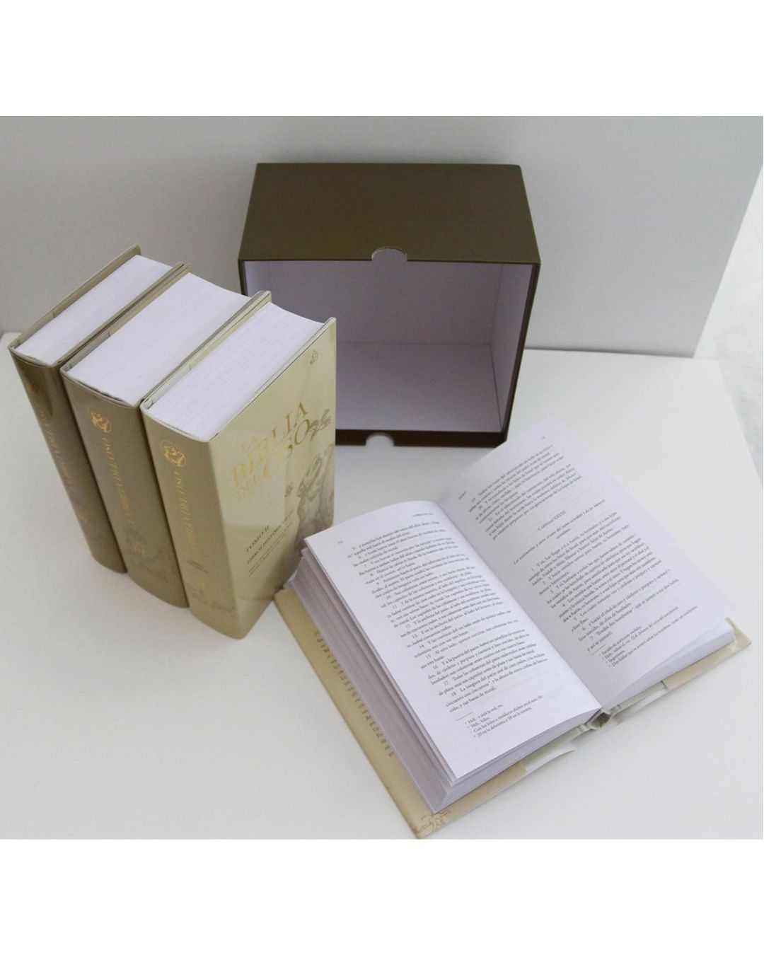 Biblia del Oso (Reina 1569) – Casiodoro de Reina | Estuche 4 tomos - Imagen 3