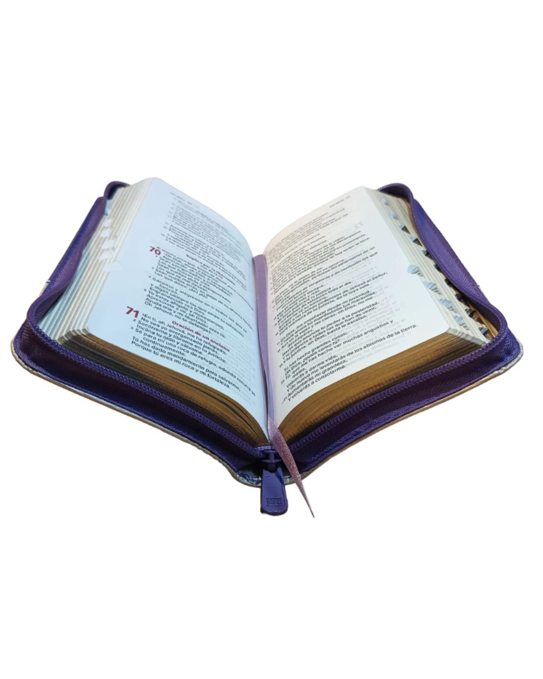 Biblia tipo chequera Reina Valera 1960, Senti Piel, Pequeña, Morado con Cierre e Índice - Imagen 3