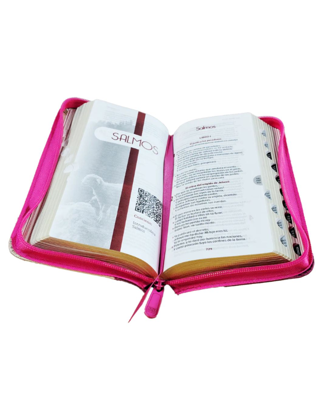 Biblia tipo chequera Reina Valera 1960, Senti Piel, Pequeña con Cierre e Índice - Imagen 4