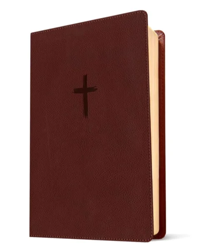 Biblia Nueva Traducción Viviente - Letra Grande Vinotinto