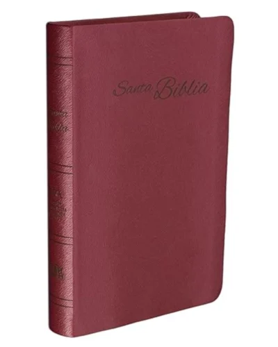 Biblia Reina Valera Actualizada - Rojiza