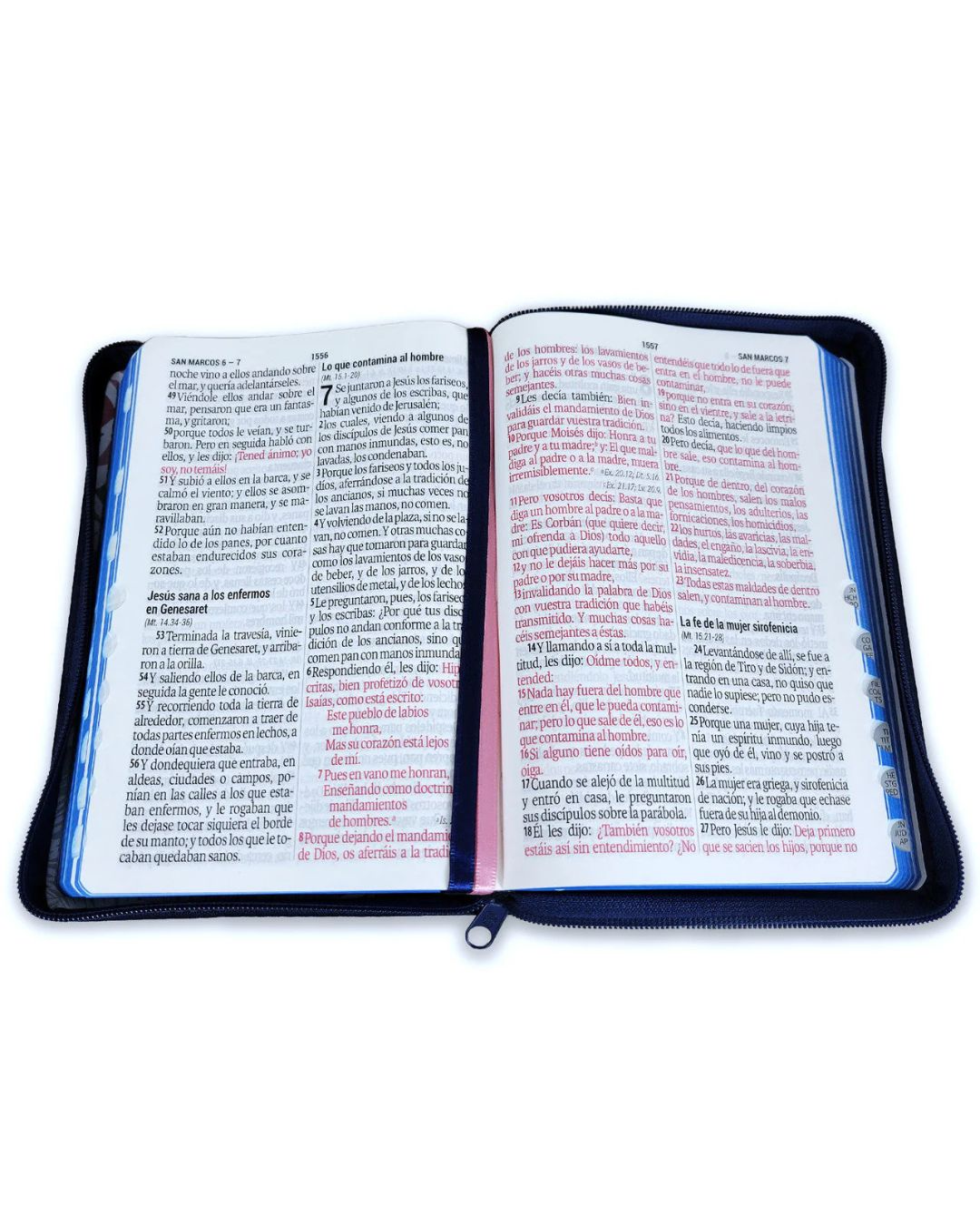 Biblia Reina Valera 1960 - Mediana Letra Gigante - Imagen 3