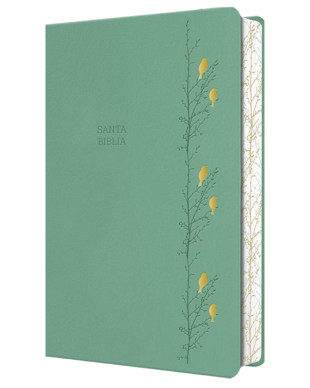 Biblia Reina Valera 1960 - Mediana Letra Gigante Verde Pájaros