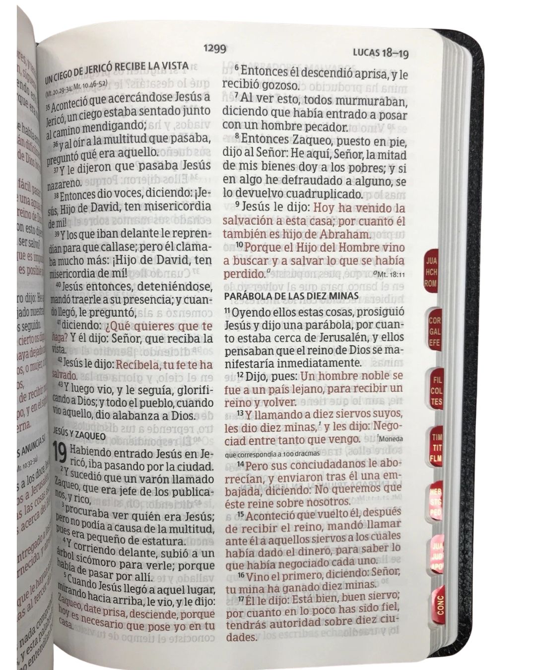 Biblia Reina Valera 1960 - Mediana Letra Grande Negra - Imagen 2