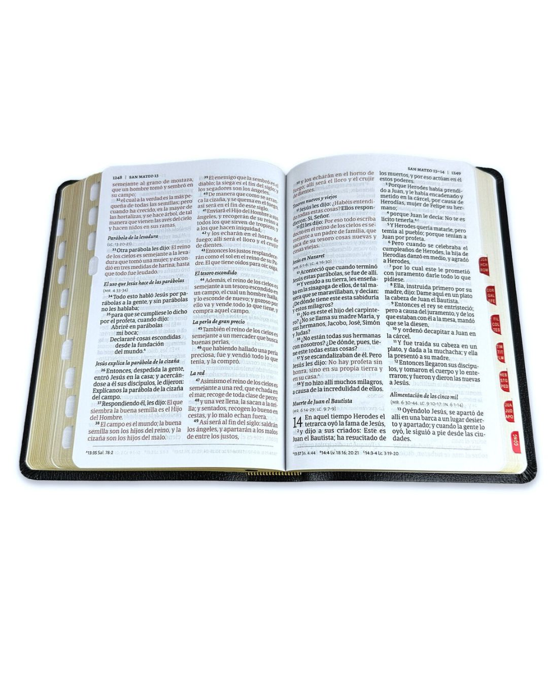 Biblia Reina Valera 1960 - Mediana Letra Grande Negra - Imagen 3