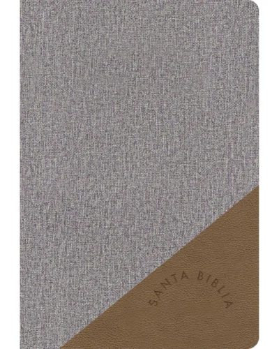Biblia Reina Valera 1960 - Mediana Letra Grande Gris