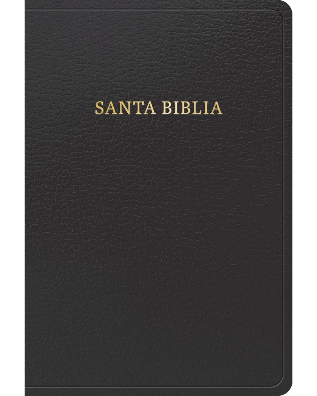Biblia Reina Valera 1960 - Mediana Letra Grande Negra