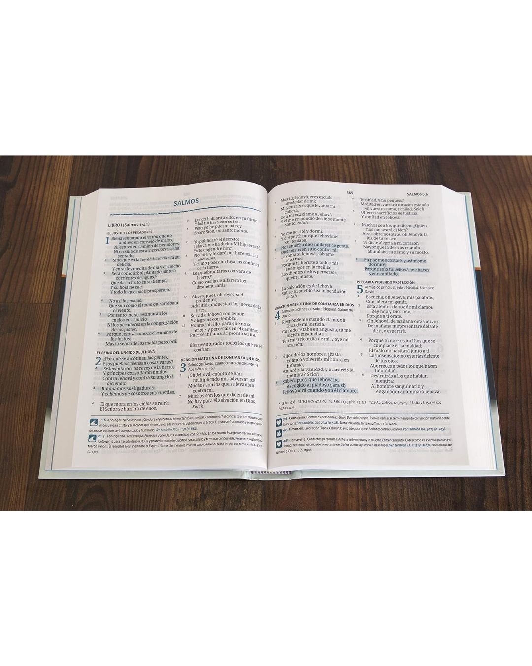 Biblia del Pescador Reina Valera 1960 - Mediana Letra Grande - Imagen 4
