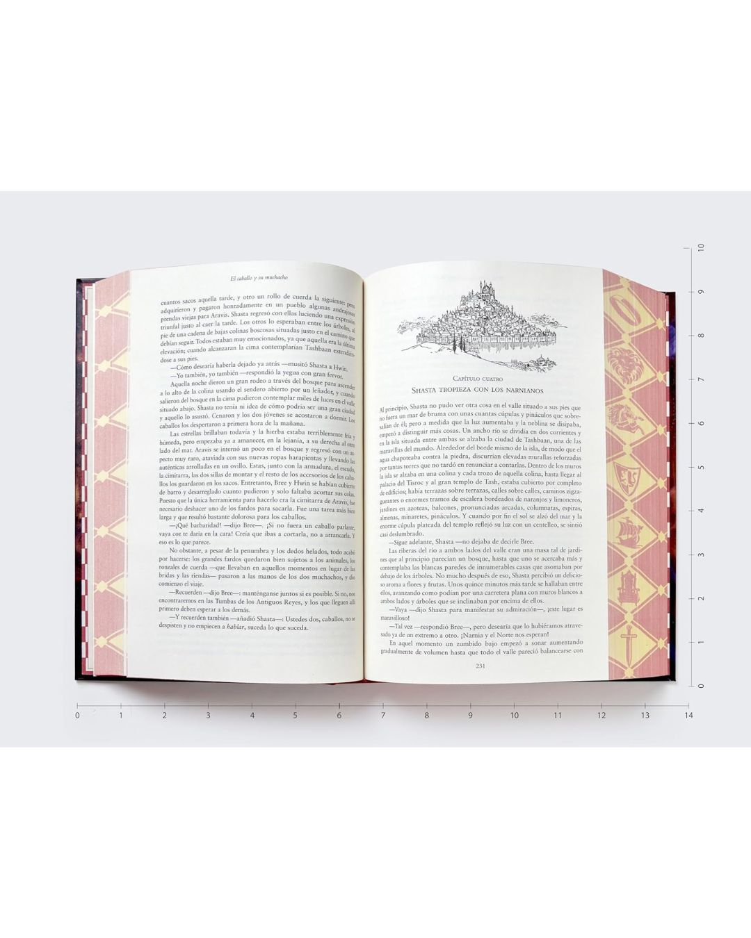 Las Crónicas de Narnia - Edición de lujo - Imagen 4