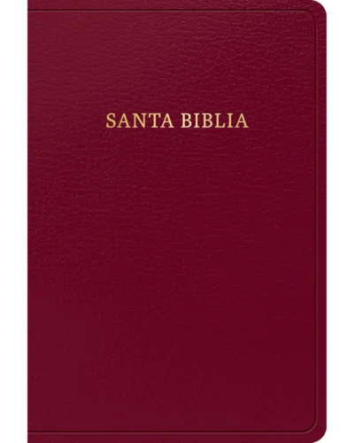 Biblia Reina Valera 1960 - Mediana Letra Grande Vinotinto