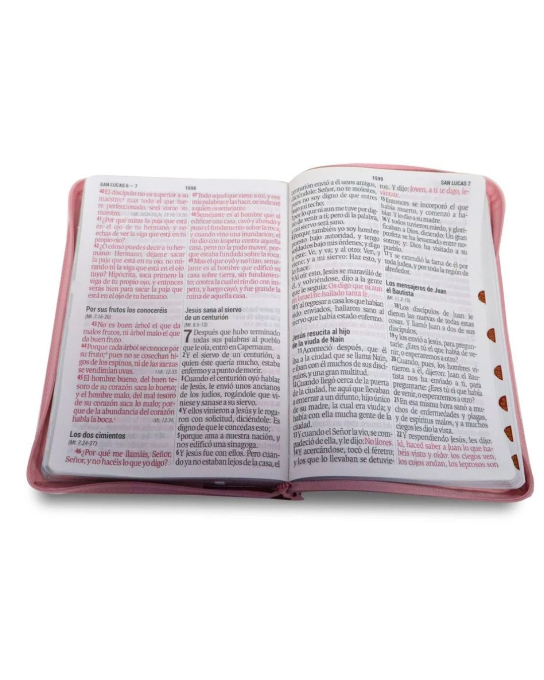 Biblia Reina Valera 1960 | Letra Super Giganter Rosada - Imagen 3