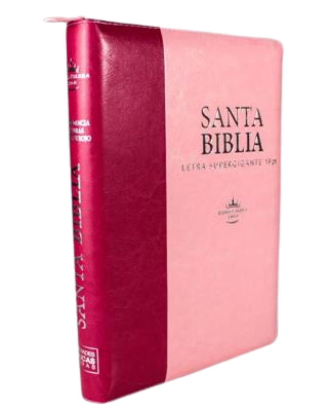 Biblia Reina Valera 1960 | Letra Super Giganter Rosada